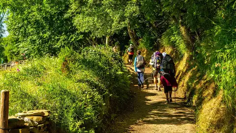 Camino Primitivo en Asturias Camino Primitivo en Asturias