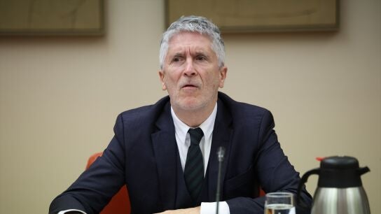 El ministro Fernando Grande-Marlaska en la Comisi&oacute;n de Interior del Congreso de los Diputados