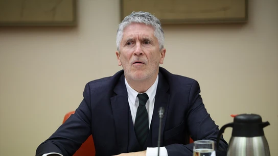 El ministro Fernando Grande-Marlaska en la Comisión de Interior del Congreso de los Diputados El ministro Fernando Grande-Marlaska en la Comisión de Interior del Congreso de los Diputados