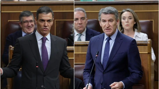 El presidente del Gobierno, Pedro Sánchez, y el líder del PP, Alberto Núñez Feijóo, en el Congreso de los Diputados El presidente del Gobierno, Pedro Sánchez, y el líder del PP, Alberto Núñez Feijóo, en el Congreso de los Diputados