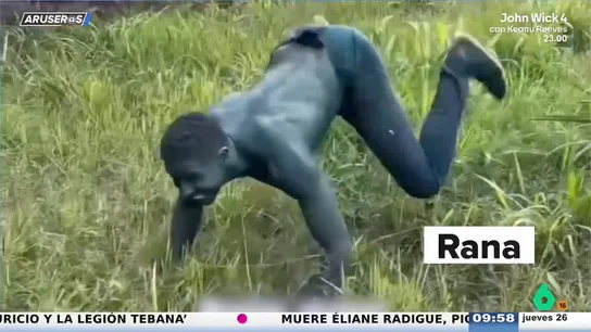 ¿Cuá es tu therian favorito? ¿Cuá es tu therian favorito?