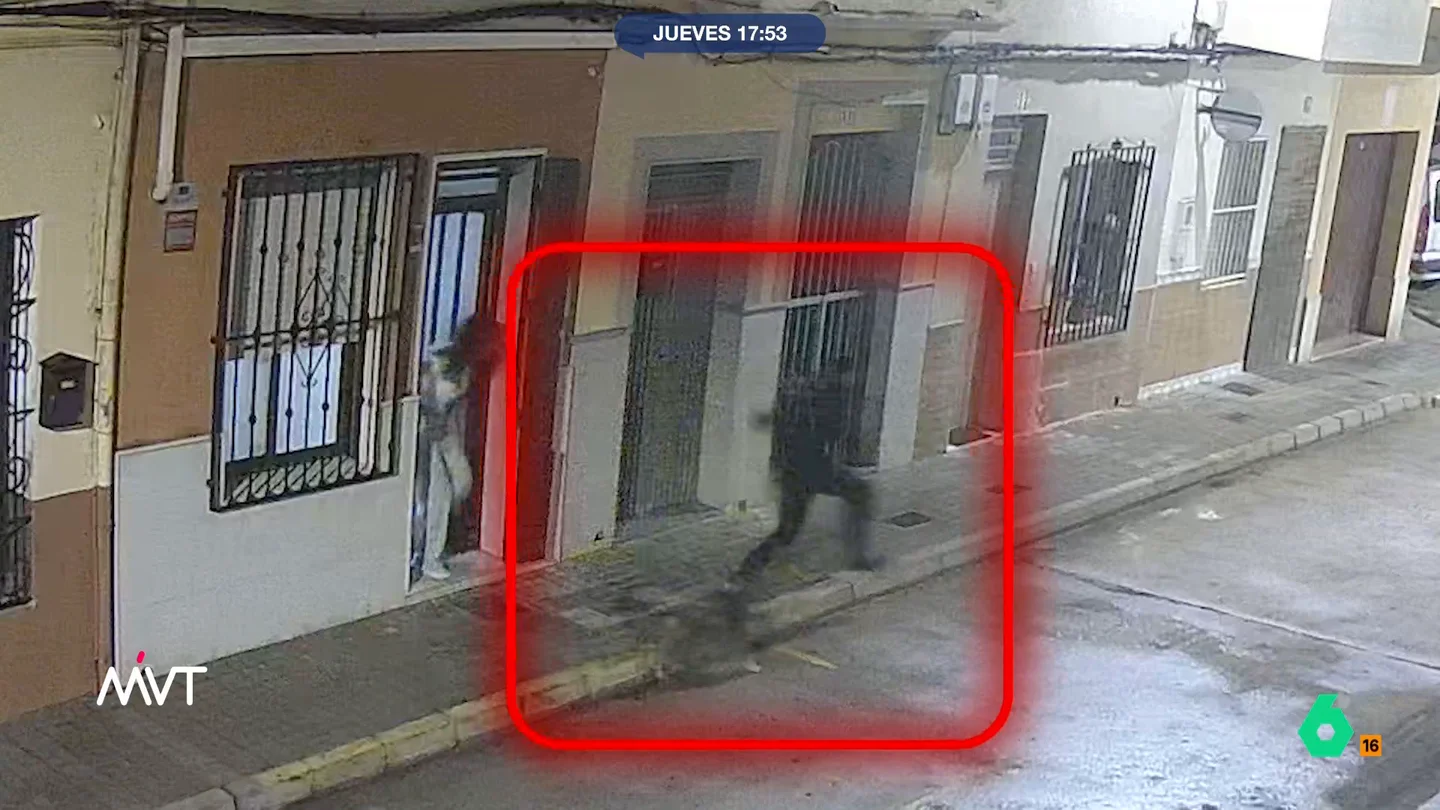 VÍDEO | Dos perros evitan el secuestro de su dueña en Valencia y Bea de Vicente lo celebra: "Chapó por ellos" VÍDEO | Dos perros evitan el secuestro de su dueña en Valencia y Bea de Vicente lo celebra: "Chapó por ellos"
