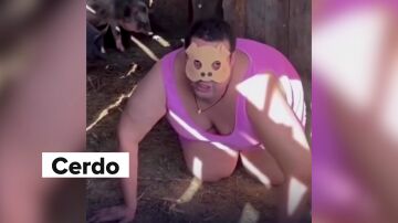 Cerdo
