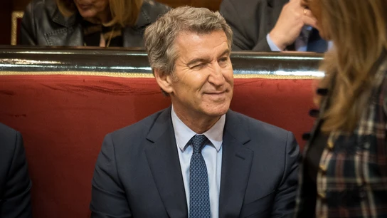 El líder del PP, Alberto Núñez Feijóo. El líder del PP, Alberto Núñez Feijóo.