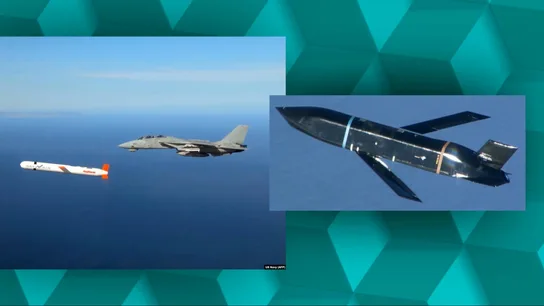 Los misiles terrestres 'Black Tomahawk' Los misiles terrestres 'Black Tomahawk'