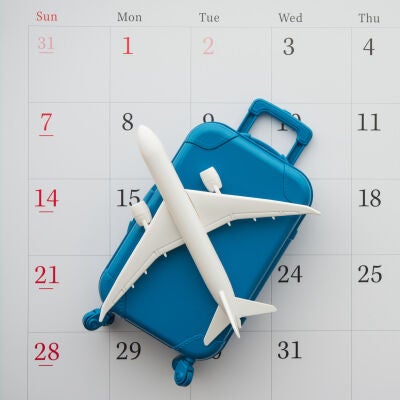 Calendario viajes avi&oacute;n