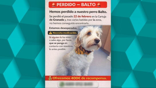La estafa del perro perdido: Guardia Civil y Polic&iacute;a Nacional investigan el cobro de recompensas por pistas y datos falsos