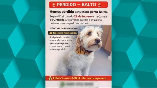 La estafa del perro perdido: Guardia Civil y Policía Nacional investigan el cobro de recompensas por pistas y datos falsos La estafa del perro perdido: Guardia Civil y Policía Nacional investigan el cobro de recompensas por pistas y datos falsos