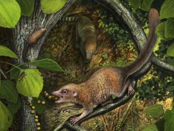 Recreaci&oacute;n de Purgatorius