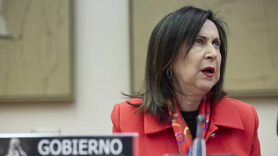 La ministra de Defensa, Margarita Robles, en el Congreso La ministra de Defensa, Margarita Robles, en el Congreso/ Jesús Hellín / Europa Press