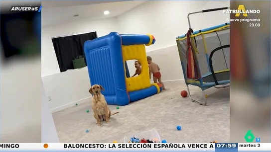 El divertido vídeo viral del perro canguro que está hasta los hocicos de los niños El divertido vídeo viral del perro canguro que está hasta los hocicos de los niños