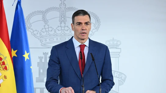 Pedro Sánchez, presidente del Gobierno, durante su comparecencia en La Moncloa Pedro Sánchez, presidente del Gobierno, durante su comparecencia en La Moncloa/ EFE/Moncloa/Borja Puig