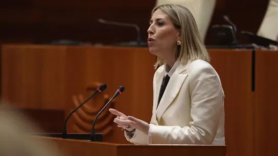 Los votos en contra de Vox, PSOE y Unidas por Extremadura tumban la investidura de María Guardiola Los votos en contra de Vox, PSOE y Unidas por Extremadura tumban la investidura de María Guardiola