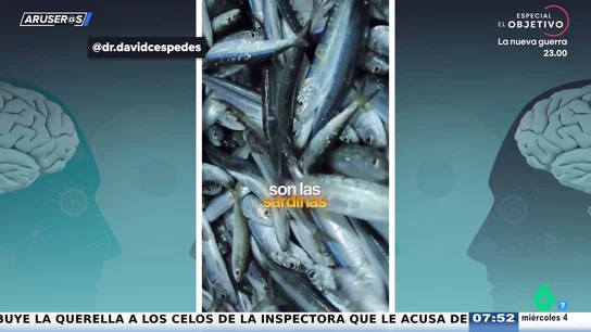 Un experto en longevidad asegura que las sardinas son el alimento más nutritivo del mundo: "Podrías comerlas un mes entero" Un experto en longevidad asegura que las sardinas son el alimento más nutritivo del mundo: "Podrías comerlas un mes entero"