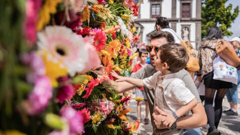 Fiesta de la Flor. Madeira