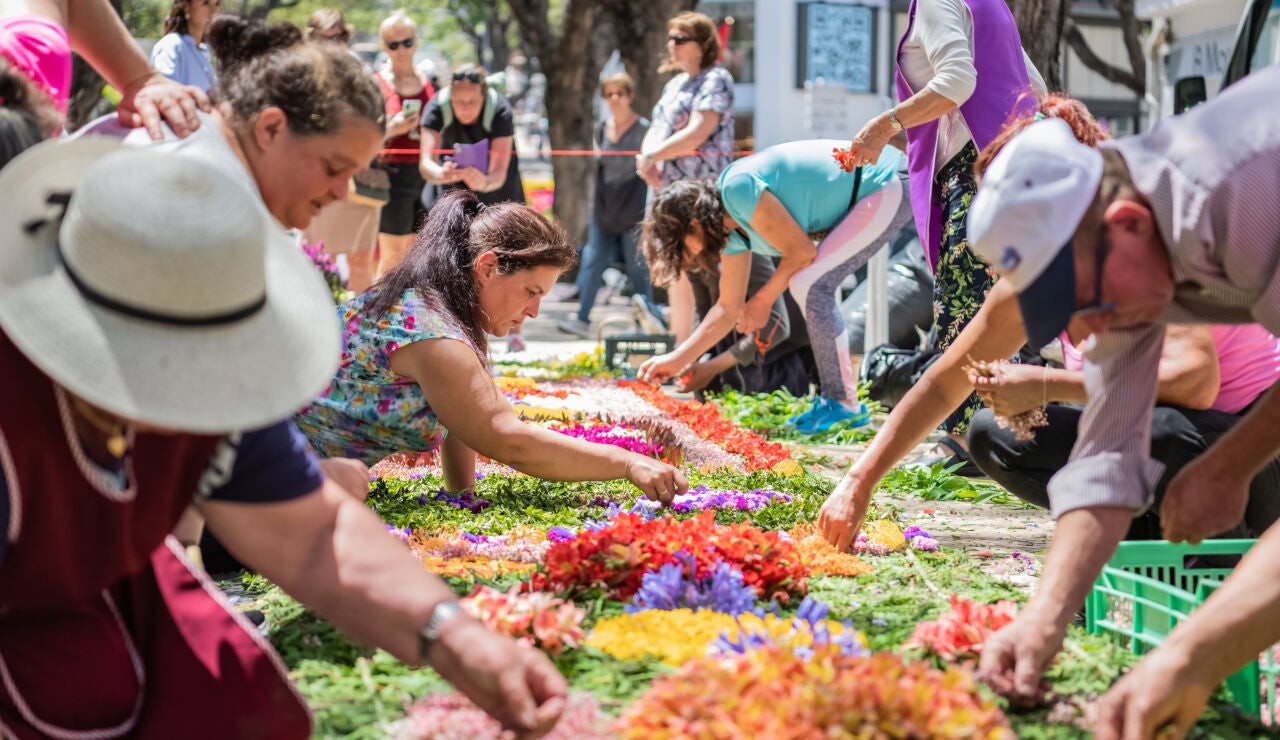 Fiesta de la Flor. Madeira