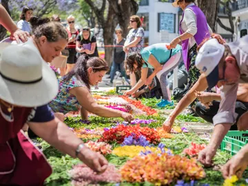 Fiesta de la Flor. Madeira Fiesta de la Flor. Madeira