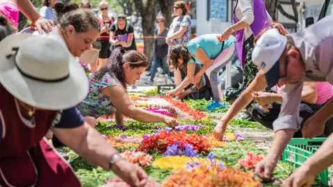 Fiesta de la Flor. Madeira Fiesta de la Flor. Madeira