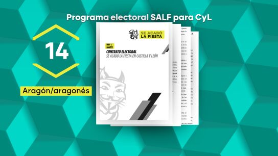Alvise copia el programa electoral de Aragón para Castilla y León sin cambiar ni las menciones a los aragoneses