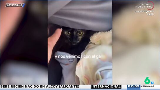 El v&iacute;deo viral del gato que se cuela en el carrito del beb&eacute; cuando se van a dar un paseo: "Quiere ver mundo"