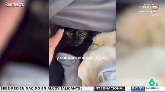 El vídeo viral del gato que se cuela en el carrito del bebé cuando se van a dar un paseo: "Quiere ver mundo" El vídeo viral del gato que se cuela en el carrito del bebé cuando se van a dar un paseo: "Quiere ver mundo"