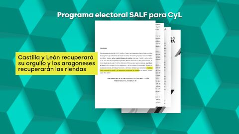 Alvise copia el programa electoral de Arag&oacute;n para Castilla y Le&oacute;n sin cambiar ni las menciones a los aragoneses