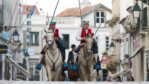 Caballos en Ribatejo