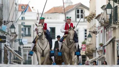 Caballos en Ribatejo Caballos en Ribatejo