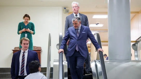 El senador estadounidense Ted Cruz habla con un periodista en el metro del Senado durante una votación para detener la campaña militar contra Irán El senador estadounidense Ted Cruz habla con un periodista en el metro del Senado durante una votación para detener la campaña militar contra Irán