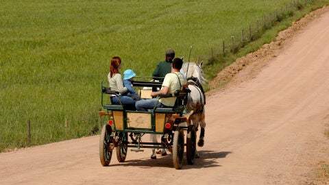 Ruta por el Alentejo en carruaje tirado por caballos