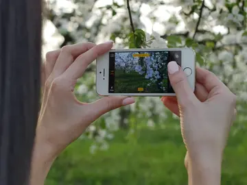 El ajuste que mejora la calidad de tus Stories El ajuste que mejora la calidad de tus Stories