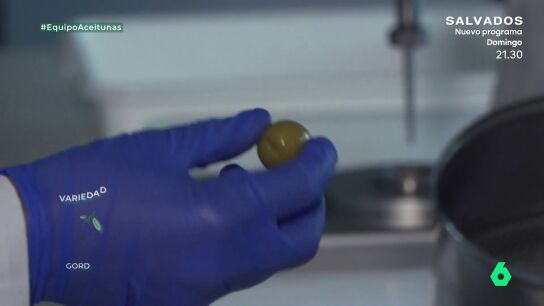  Esto es lo que realmente lleva el relleno de las aceitunas con anchoa: "No es anchoa"