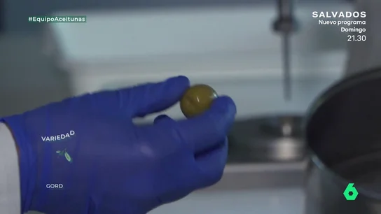 Esto es lo que realmente lleva el relleno de las aceitunas con anchoa: "No es anchoa" Esto es lo que realmente lleva el relleno de las aceitunas con anchoa: "No es anchoa"