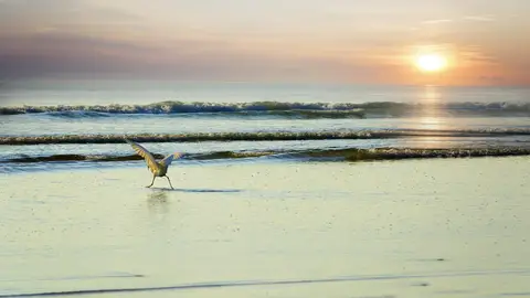 Amanecer en la playa Amanecer en la playa