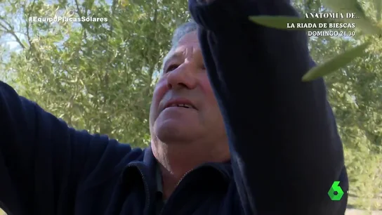 El temor de un agricultor, a punto de perder sus cultivos por una planta solar: "Dijeron que era voluntario alquilar y ahora expropian" El temor de un agricultor, a punto de perder sus cultivos por una planta solar: "Dijeron que era voluntario alquilar y ahora expropian"