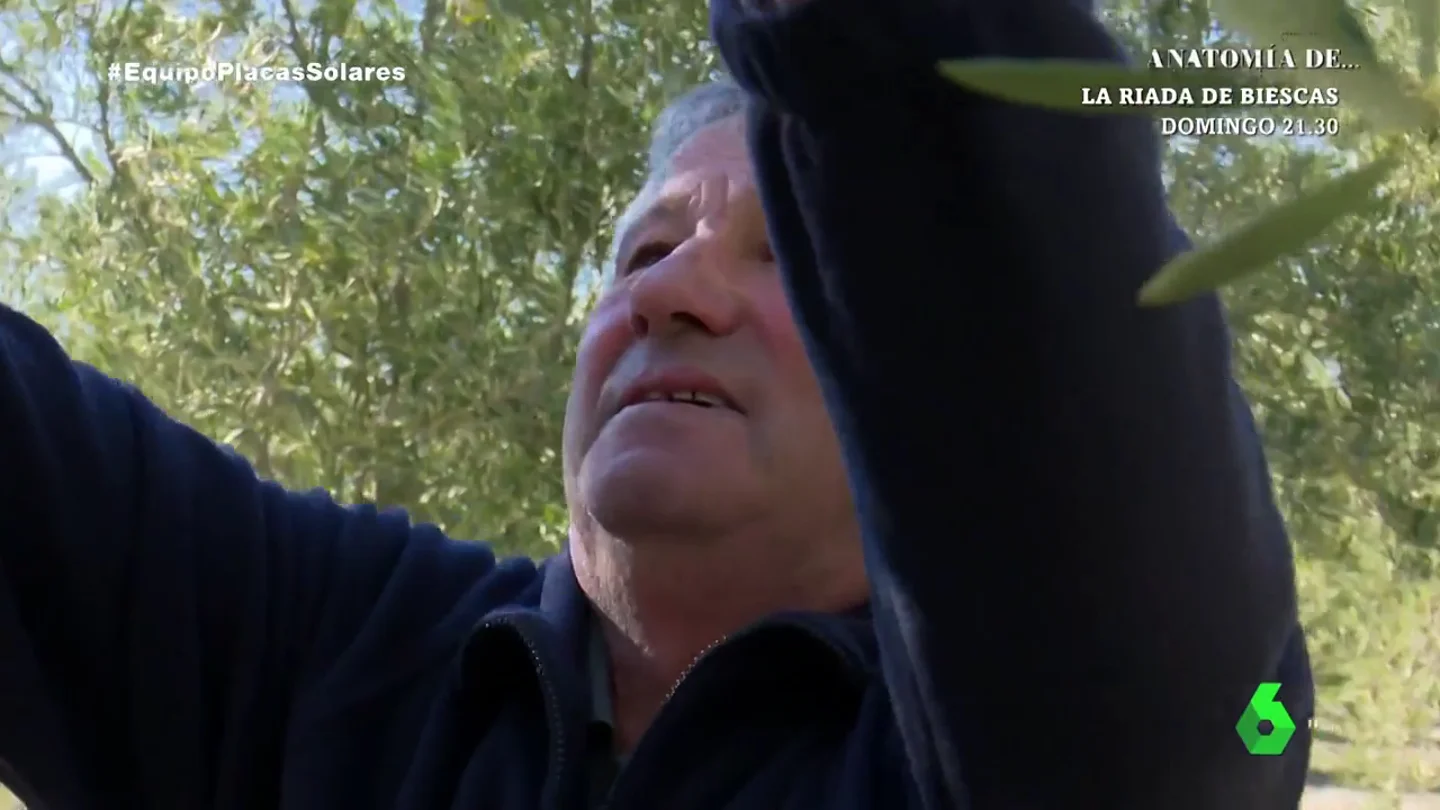 El temor de un agricultor, a punto de perder sus cultivos por una planta solar: "Dijeron que era voluntario alquilar y ahora expropian" El temor de un agricultor, a punto de perder sus cultivos por una planta solar: "Dijeron que era voluntario alquilar y ahora expropian"