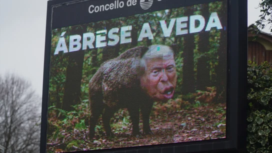Pantallas contra Trump en Oleiros, A Coruña. Pantallas contra Trump en Oleiros, A Coruña.