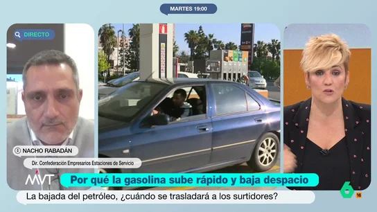 Nacho Rabadán, muy molesto con las declaraciones de Sara Aagesen: "La ministra sabe de sobra que la CNMC nos mira con lupa" El director de la Confederación Española de Estaciones de Servicio considera que la ministra de Transición Ecológica ha "sembrado la sospecha sobre un sector que está integrado en un 70% por pymes y micropymes familiares".