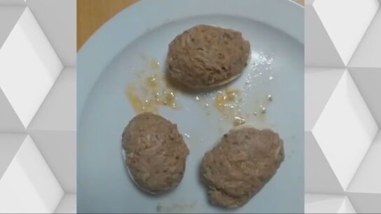 Imagen de un plato de alb&oacute;ndigas servido en una residencia