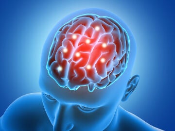 Representaci&oacute;n en 3D de un cerebro
