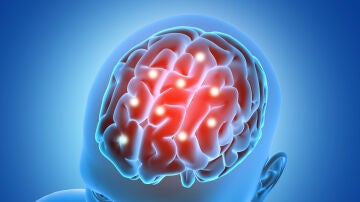 Representaci&oacute;n en 3D de un cerebro