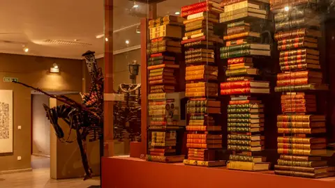 Colección Zunzunegui Colección Zunzunegui