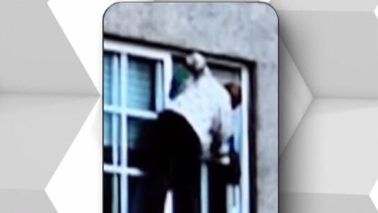 'Spiderwoman' de Moa&ntilde;a