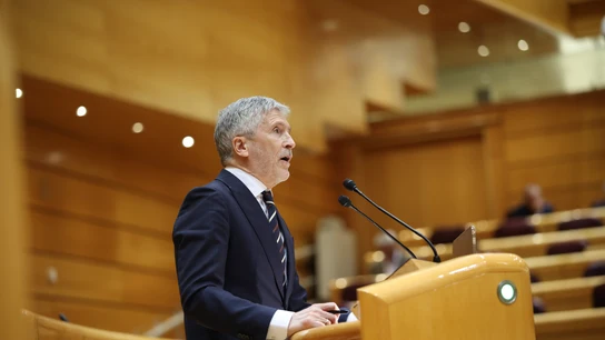 El ministro del Interior, Fernando Grande-Marlaska, este martes en el Senado. El ministro del Interior, Fernando Grande-Marlaska, este martes en el Senado.