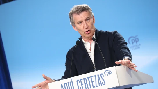El presidente del PP, Alberto Núñez Feijóo, durante una intervención El presidente del PP, Alberto Núñez Feijóo, durante una intervención