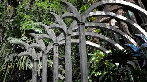 Las Pozas, en la selva mexicana Las Pozas, en la selva mexicana