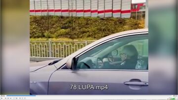 Lupa