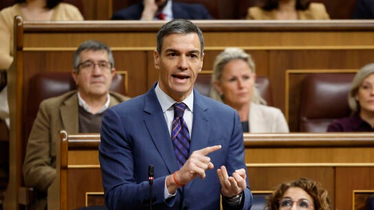 Imagen de Pedro S&aacute;nchez en el Congreso de los Diputados.