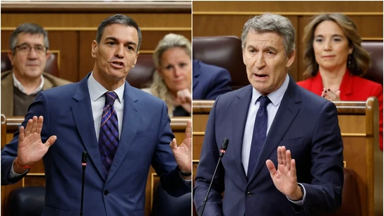 El presidente del Gobierno, Pedro Sánchez, y el líder del PP, Alberto Núñez Feijóo, se enfrentan en el Congreso de los Diputados El presidente del Gobierno, Pedro Sánchez, y el líder del PP, Alberto Núñez Feijóo, se enfrentan en el Congreso de los Diputados