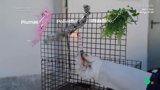 Equipo de Investigaci&oacute;n analiza c&oacute;mo de f&aacute;cil es que se produzca un incendio en un restaurante que usa bengalas en un interior y, en este v&iacute;deo, prueba a acercar pirotecnia a los materiales m&aacute;s habituales de la decoraci&oacute;n de estos locales.